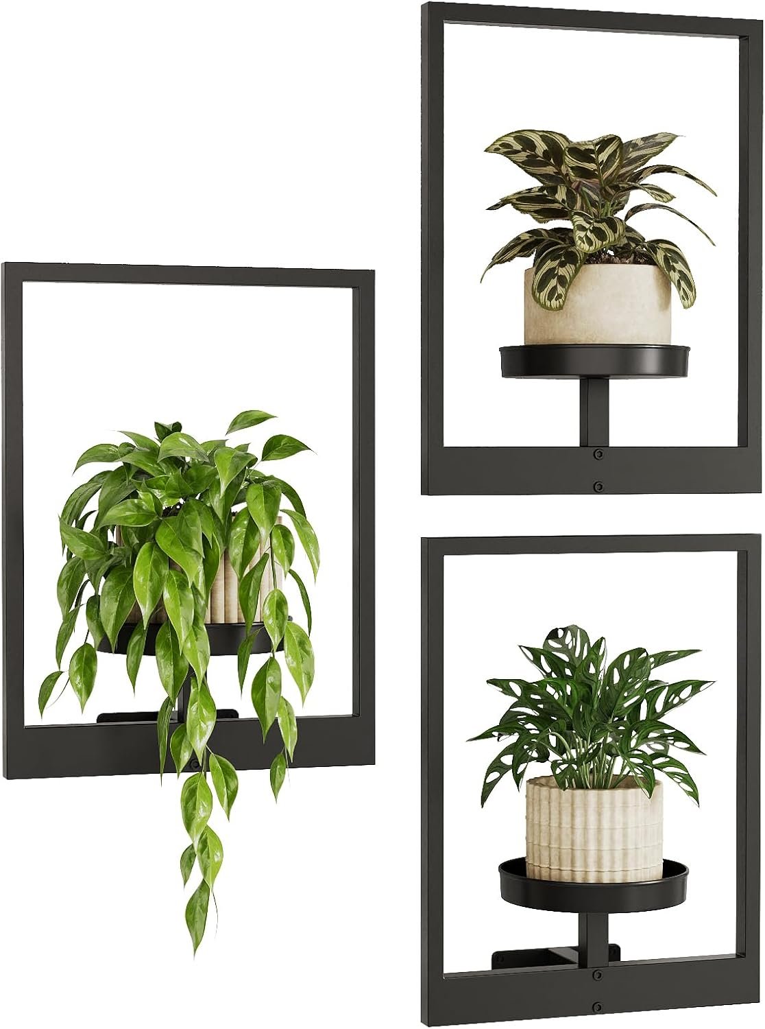 Bamworld Hanging Planters for Indoor Plants Wall Decor Living Room Plant Stand Indoor Wall Planters Plant Hanger Window Plant Shelves 3 Pack for Outdoor Entryway